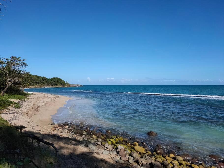 Haut De Villa Avec Vue Sur La Mer Сент-Роз Экстерьер фото