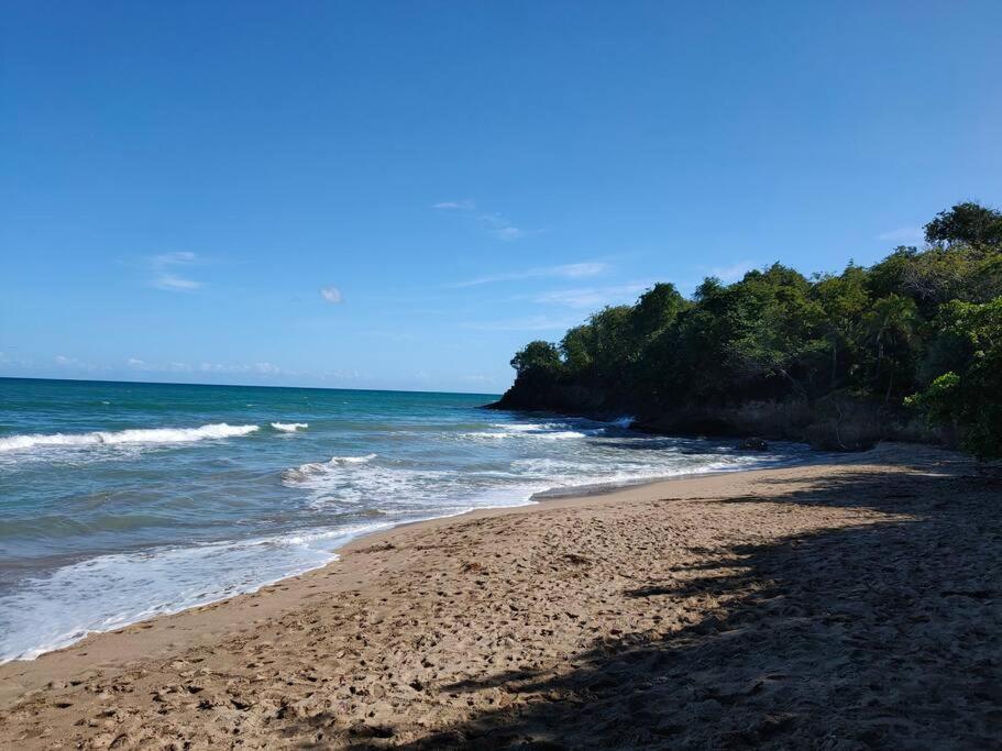 Haut De Villa Avec Vue Sur La Mer Сент-Роз Экстерьер фото